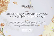 Wonderful Melanesia - Font Duo, a Serif Font by Arterfak Project (Thumbnail 12 of 14)