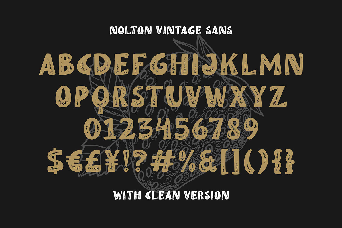 Nolton Vintage - Font Family, a Handwritten Font by Grezline Studio (Photo 10 of 12)