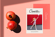 Millania || Modern Script Font, a Script Font by BrandSemut (Thumbnail 2 of 9)