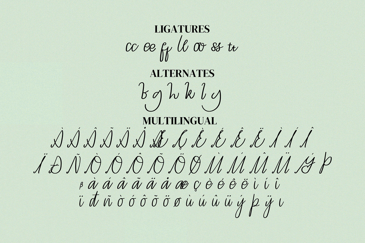 The Reason Script Fonts, a Script Font by mahstudios