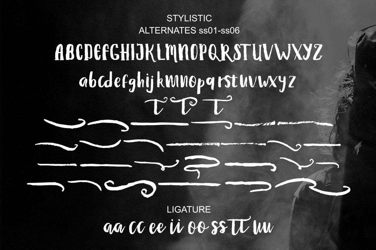Debt Collectors, a Script Font by MSG Studio (Photo 10 of 10)
