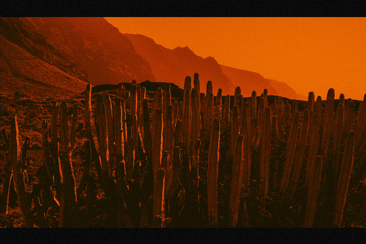ORANGE CREATIVE PRESETS, a Preset Add-On by El Oasis Market (Photo 7 of 7)