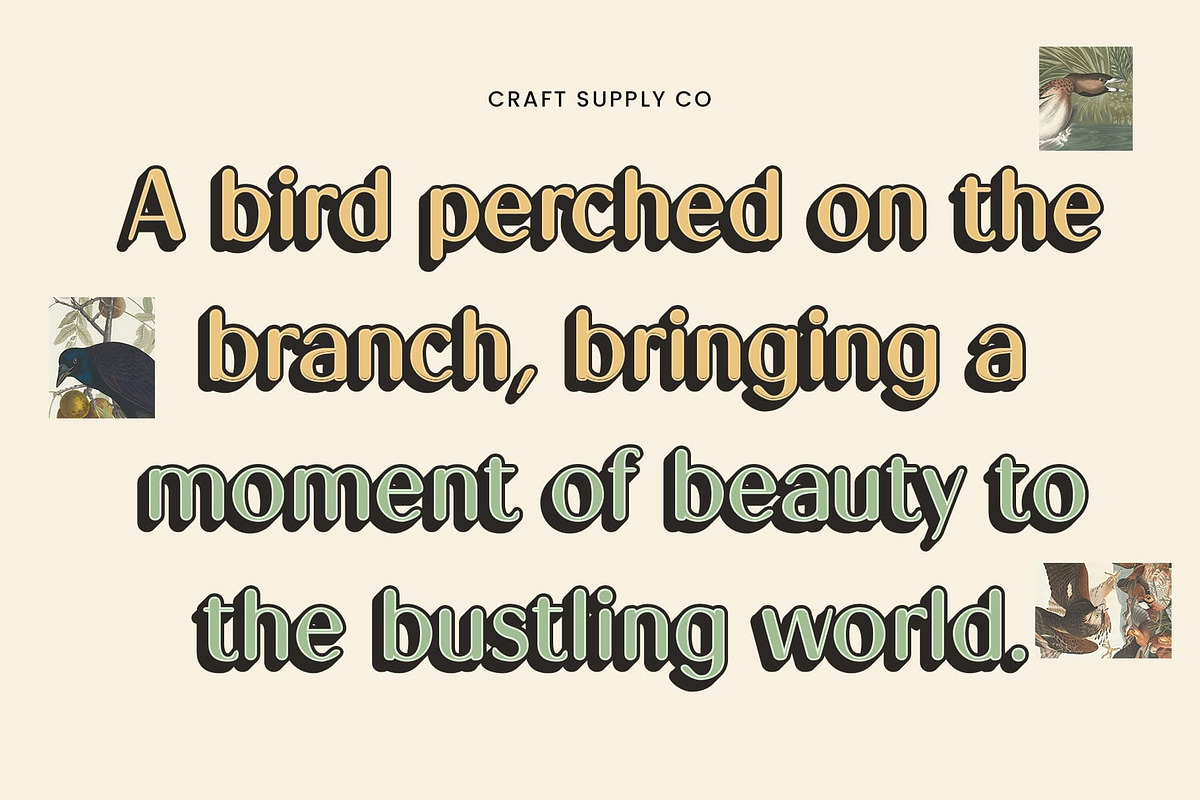 Kalesi Rounded 3D, a Sans Serif Font by Craft Supply Co. (Photo 2 of 8)