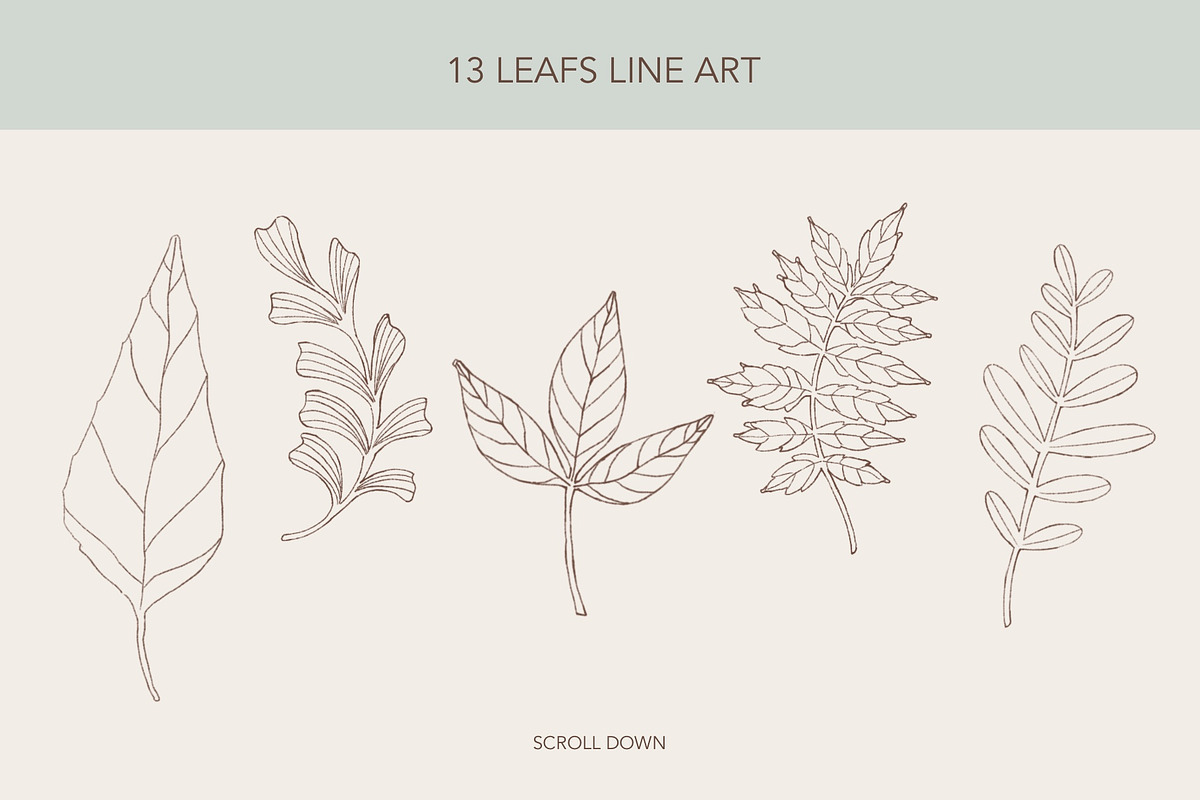 Procreate The Nature Spirits Toolkit, a Brush Add-On by Rosangela Curti (Photo 5 of 14)
