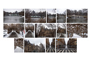 Winter In Central Park NYC Photos, an Arts & Entertainment Photo by Full Circle Design Studio (Thumbnail 3 of 5)