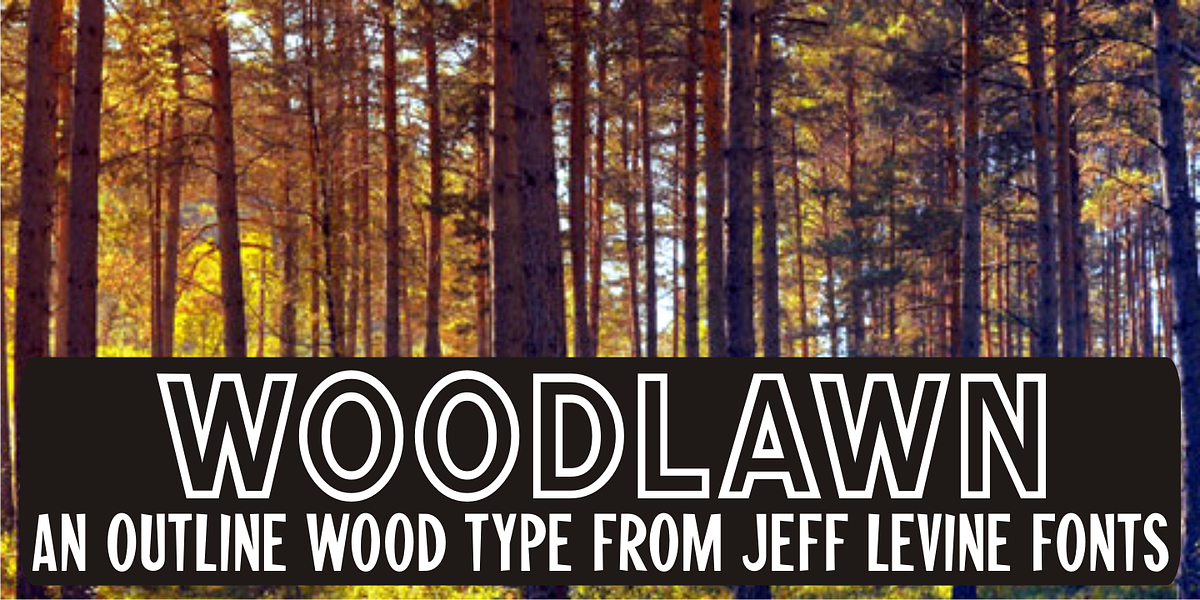 Woodlawn JNL, a Sans Serif Font by Jeff Levine Fonts
