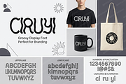 Ciruyi - Elegant Modern Serif, a Serif Font by Astuti Studio (Thumbnail 23 of 25)