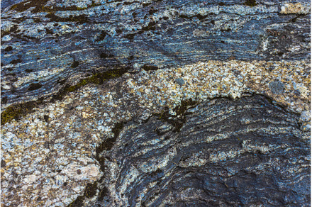 Exploring Abstract Natural Patterns, a Background Photo by Lukas Jonaitis SHOP