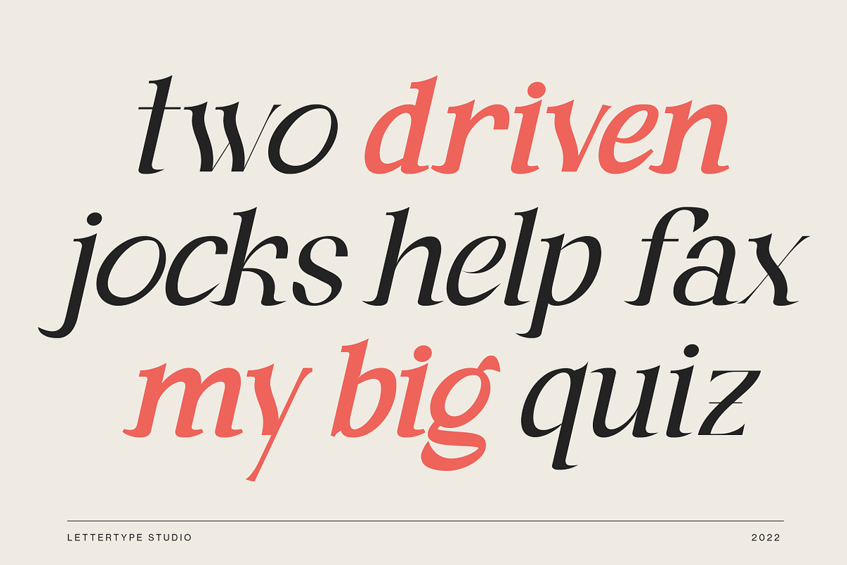 Andaman an Experimental Serif Font, a Serif Font by Lettertype Studio (Photo 5 of 15)