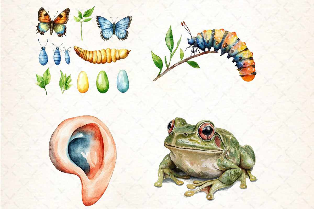 Biology Clipart Bundle, an Illustration by DreamCafeArt (Photo 3 of 4)