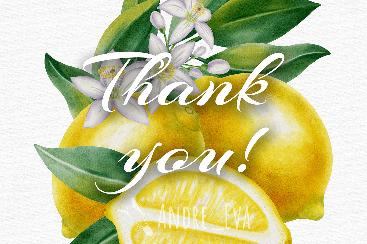 Lemon — Watercolor Illustration Set, a Food Illustration by Andre_Eva (Photo 12 of 12)