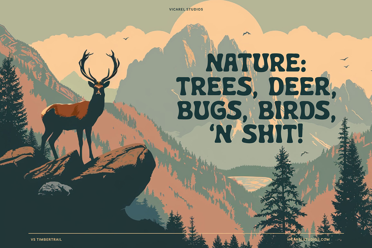 Trailbum – National Park Font, a Sans Serif Font by Vicarel Studios (Photo 5 of 18)