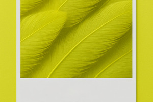 Chartreuse color feathers pattern as, a Photo by Dvoevnore photos