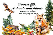 Watercolour Animals and plants, an Animal Illustration by AkvarelRiver (Thumbnail 1 of 16)