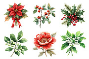 Watercolor Christmas Floral Clipart, an Illustration by Daily.Designs (Thumbnail 2 of 5)