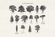 Vintage Tree Vector Bundle Vol. 2, an Object Illustration by Seaquint (Thumbnail 2 of 5)