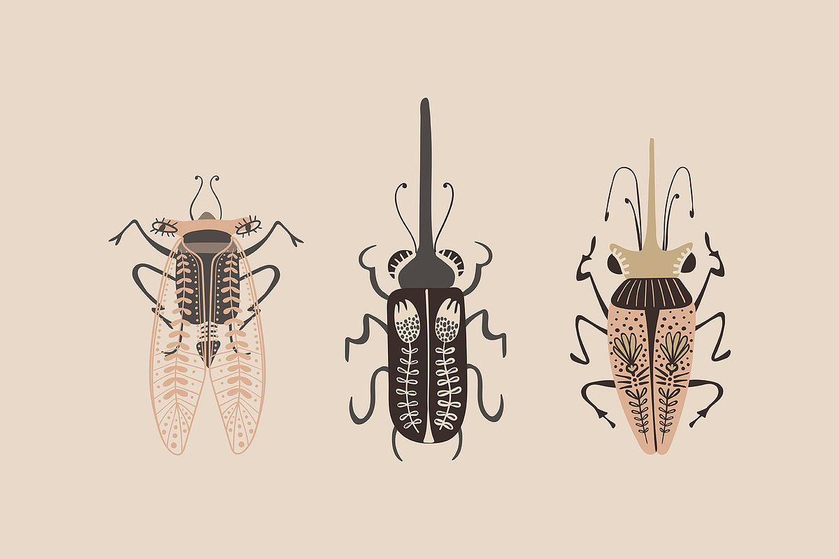 Folk Art Insects., an Animal Illustration by Annakniaz (Photo 3 of 15)