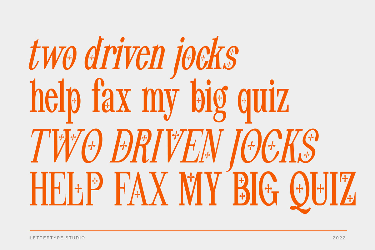 Pheromone Ultimate | Modern Classic, a Serif Font by Lettertype Studio (Photo 6 of 20)