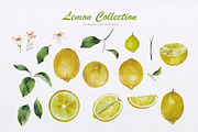 Lemon Collection, a Food Illustration by oKOLOstyle (Thumbnail 6 of 8)
