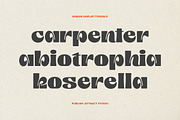 Emiken Display, a Serif Font by Attract Studio (Thumbnail 11 of 17)