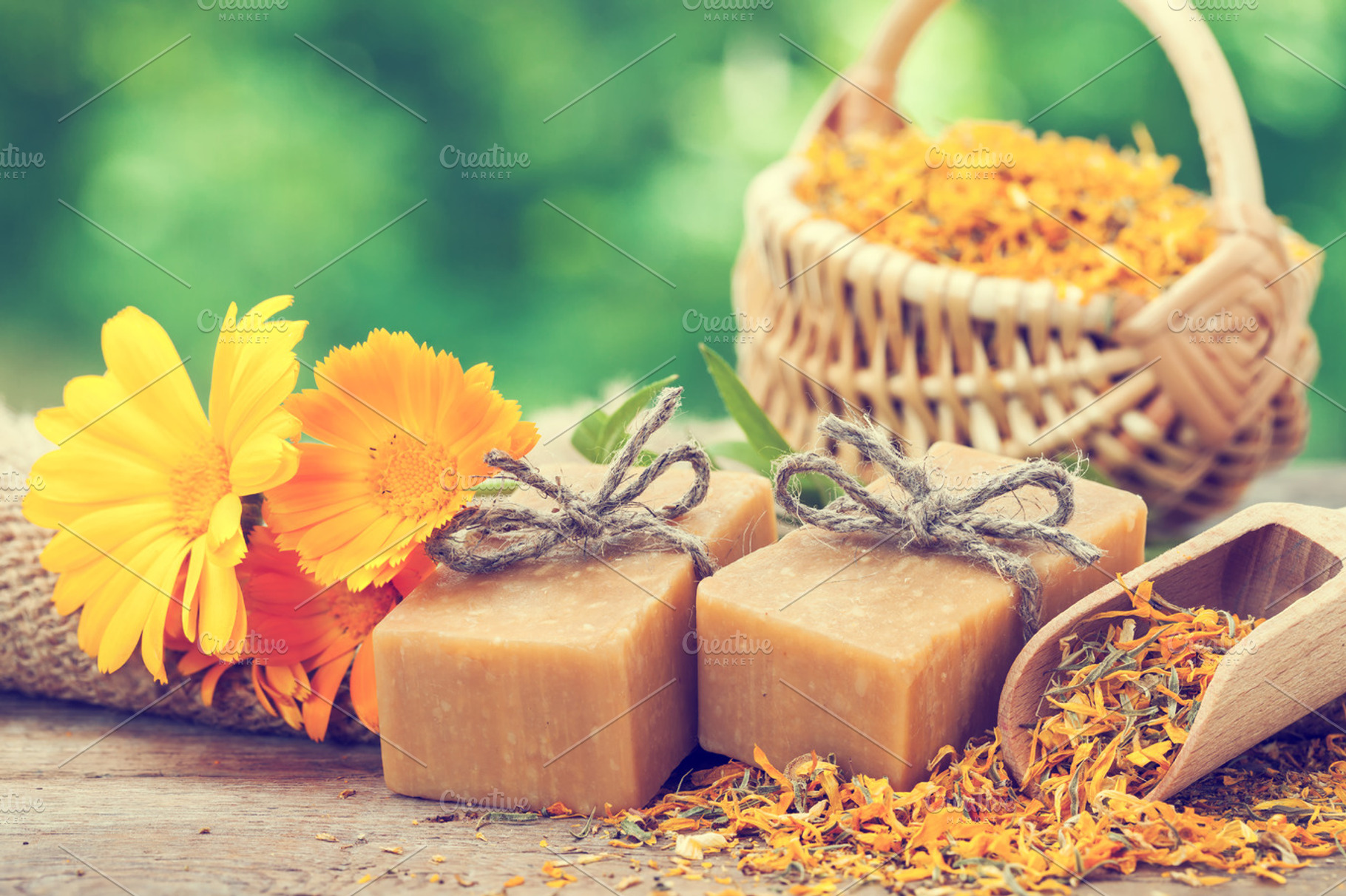 Homemade soaps and calendula flowers, a Health & Medical Photo by chamillewhite