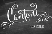 Cantoni Pro Bold Font, a Script Font by Debi Sementelli (Thumbnail 1 of 4)