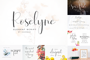 Best Wedding Bundle Font - 90% OFF, a Script Font by Dharmas Foundry (Thumbnail 11 of 17)