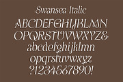 Swansea Font, a Serif Font by Mysterylab Designs (Thumbnail 6 of 9)