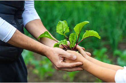 Father and child are planting a, a Nature Photo by yanadjana