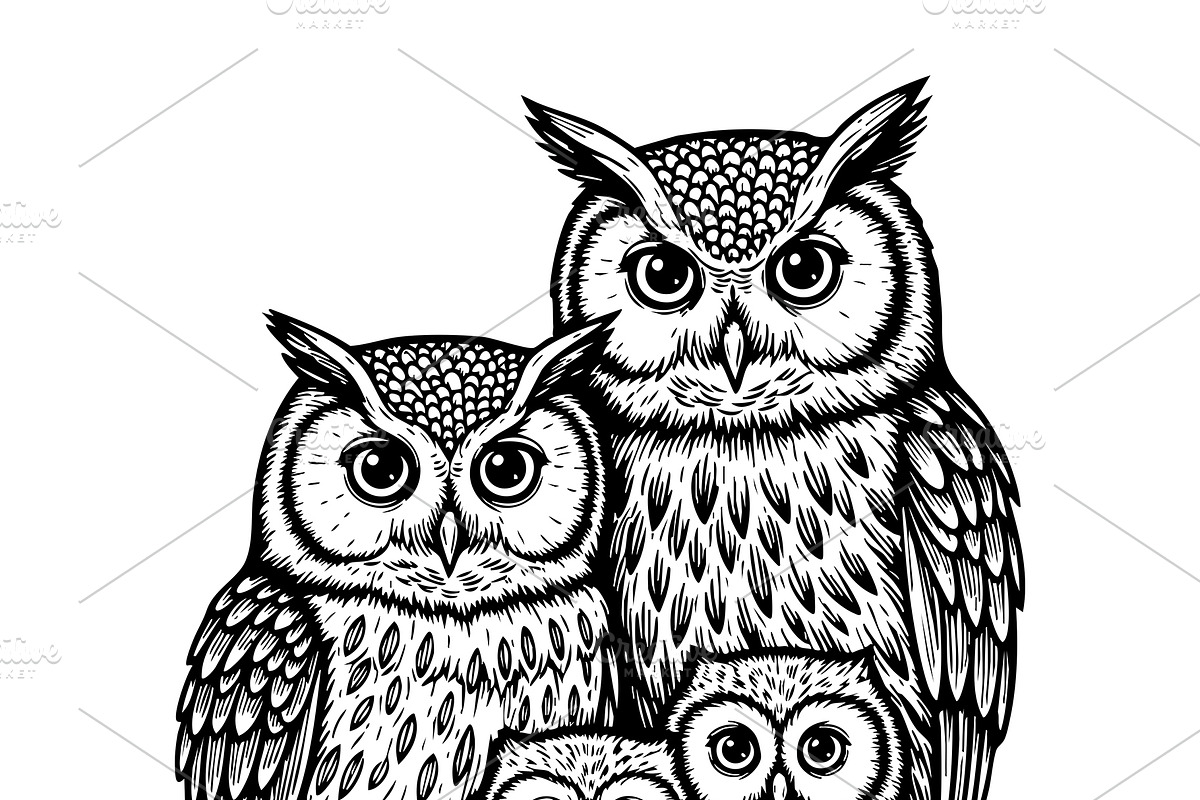 Vector of an owl family. Birds., an Animal Illustration by yod67