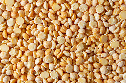 Uncooked Polished Split Peas Background, a Photo by InfinitumProdux