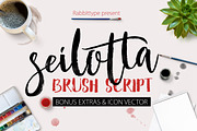 FONT BUNDLE (Great Bundle) -89% OFF, a Script Font by Olexstudio (Thumbnail 13 of 13)