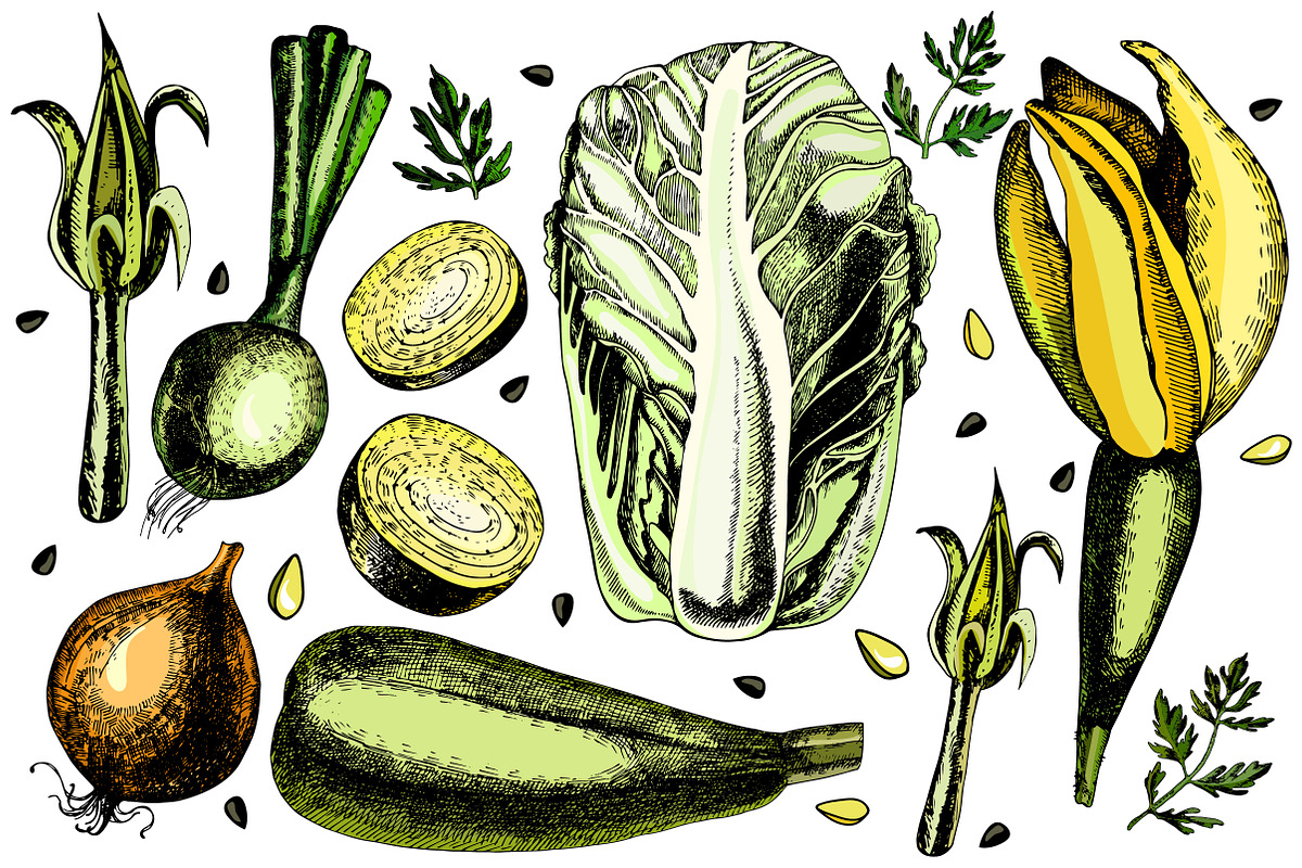 Beautiful vegetables for your design preview 3