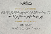 Nattalie Monoline Font, a Script Font by Analogous (Thumbnail 12 of 13)