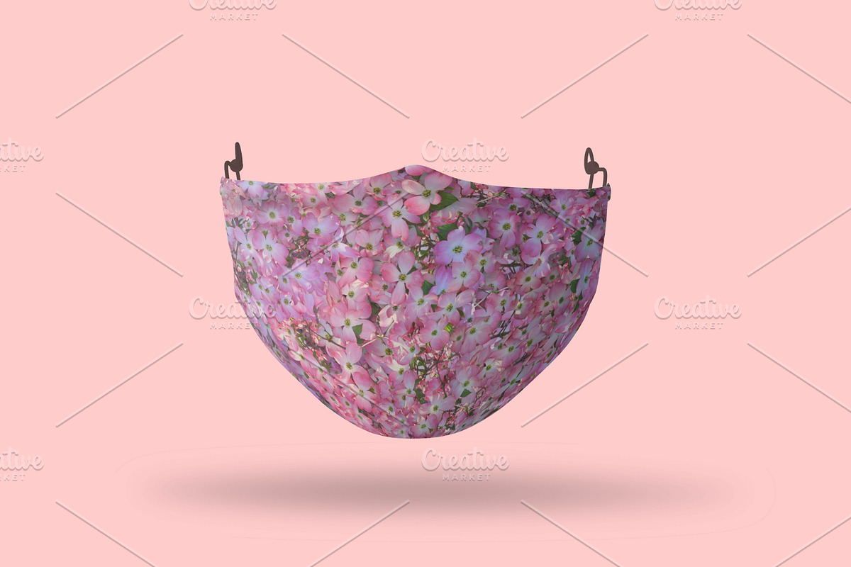 Pink Flower Background, a Background Photo by Digital Studio (Photo 12 of 18)