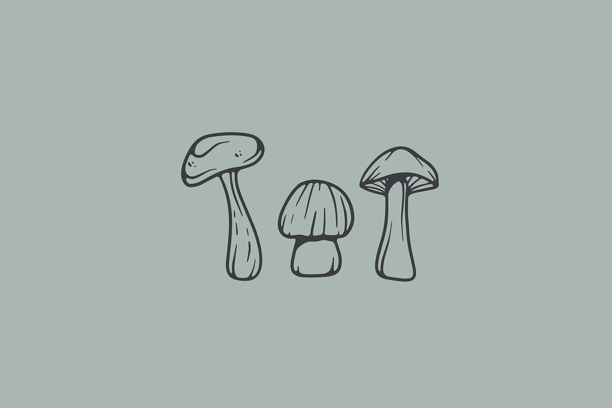 Wild Mushroom - Vector Illustrations, a Graphic by Jessica Tyson Design (Photo 4 of 4)