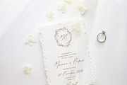 Wonder Garden | Latin&Cyrillic Font, a Script Font by Calamar Studio (Thumbnail 9 of 16)