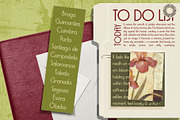 The Seranova - Contemporary DecoSans, a Sans Serif Font by Setara Langit CreativeStd (Thumbnail 2 of 16)