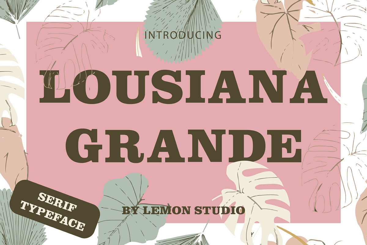 Lousiana Grande - Modern Serif, a Serif Font by Lemon Studio Type (Photo 1 of 7)