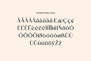Salvager Luxury Serif Font, a Serif Font by UICreative (Thumbnail 10 of 12)