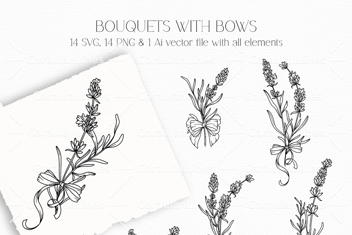 Lavender Clipart Line Art, an Object Graphic by CaraulanStore (Photo 5 of 10)