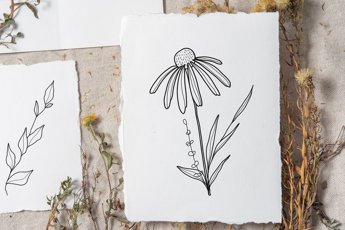 Wildflowers Procreate Stamps, a Brush Add-On by Dervik Art Store