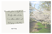 The Breat, a Script Font by Quothron (Thumbnail 2 of 5)