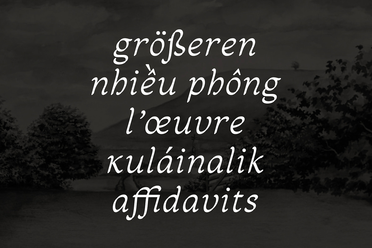 Sandleford Italic, a Serif Font by Simon Walker (Photo 3 of 9)