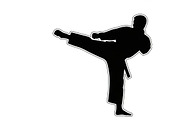 Dynamic martial arts kick silhouette, a Graphic by Amazin_art (Thumbnail 11 of 36)