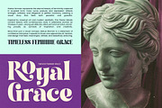 Fresh Kinetic Bold Display Serif, a Serif Font by timelesstype.co (Thumbnail 17 of 20)