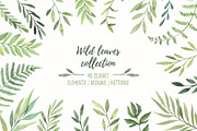 Floral bundle | Watercolor SALE, a Decorative Illustration by Kate Macate (Thumbnail 25 of 28)