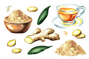 Ginger.Watercolor collection, a Food Illustration by Daria Ustiugova (Thumbnail 2 of 4)