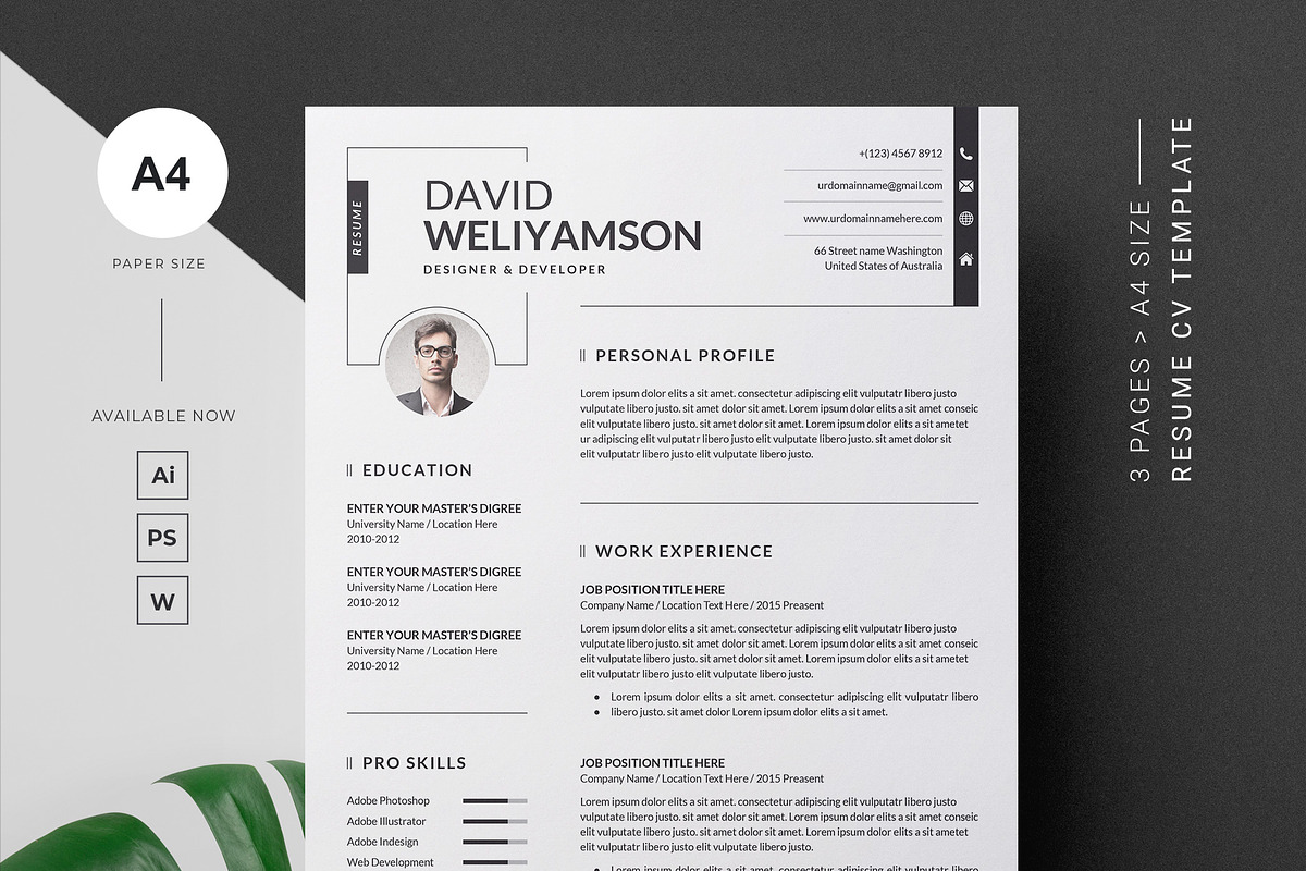 Clean Resume/CV, a Resume Template by GenerousArt