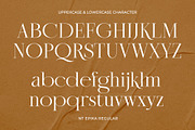 NT Epika, a Serif Font by nevsky.type (Thumbnail 2 of 10)